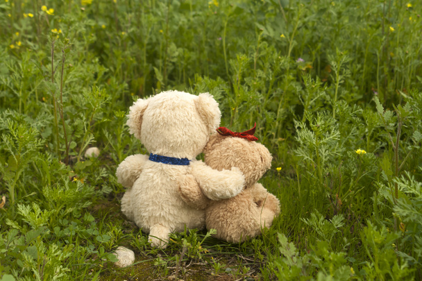 Dos osos de peluche enamorados entre la hierba verde y las flores amarillas en el prado  - Foto, imagen