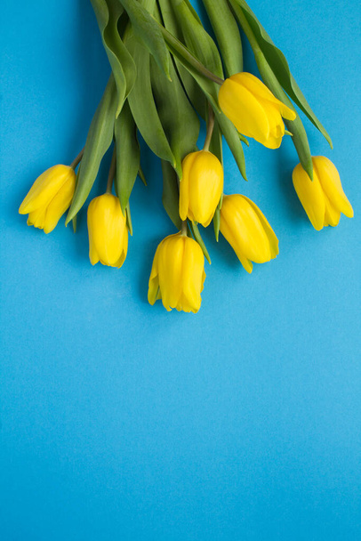 Primer plano en los tulipanes amarillos en la superficie azul. Ubicación vertical. - Foto, Imagen