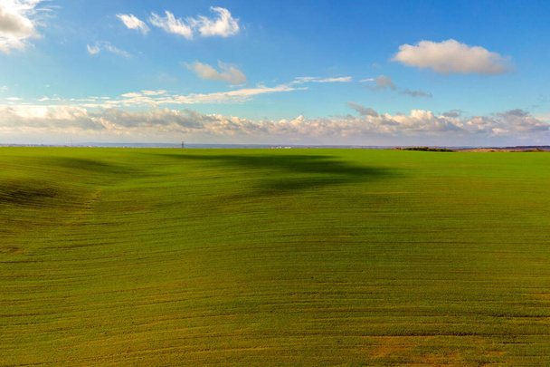 Vista aérea del campo agrícola verde brillante a principios de primavera. - Foto, imagen