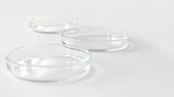 Leere Petrischalen aus Glas auf einem Labortisch. sterile Laborgeschirr bereit für Tests. Analyse und chemisches Experiment. Geräte zur Zellkultur. - Foto, Bild