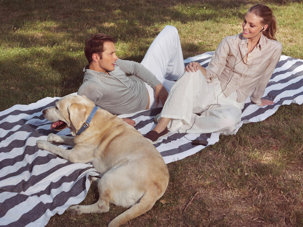 couple having rest with dog - 写真・画像