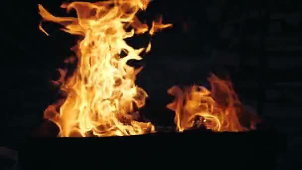 明るい火と炎は赤熱い石の中で燃えます。バーベキューのための木製の丸太の美しいオレンジ色の炎の舌。閉鎖 - 映像、動画
