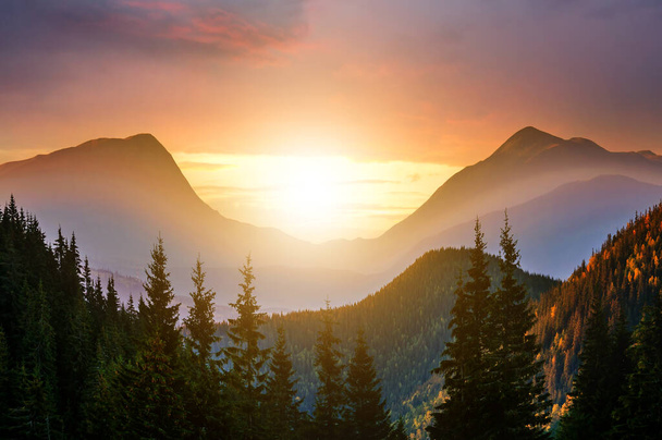 Zonsondergang landschap met hoge pieken en mistige vallei met herfst sparren bos onder levendige kleurrijke avond hemel in rotsachtige bergen. - Foto, afbeelding