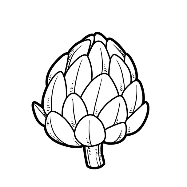 Artichoke linear drawing on white background - Vector, Image