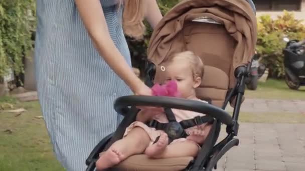 blondes kaukasisches einjähriges Kind im Kinderwagen sitzend, sich umschauend, unkenntliche Mutter in gestreiftem weiß-blauem Kleid, die ihrem Baby eine leuchtend rosa frische Blume schenkt - Filmmaterial, Video