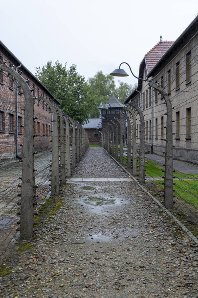 Аушвіц і Освенцім-Біркенау, табір знищення., - Фото, зображення