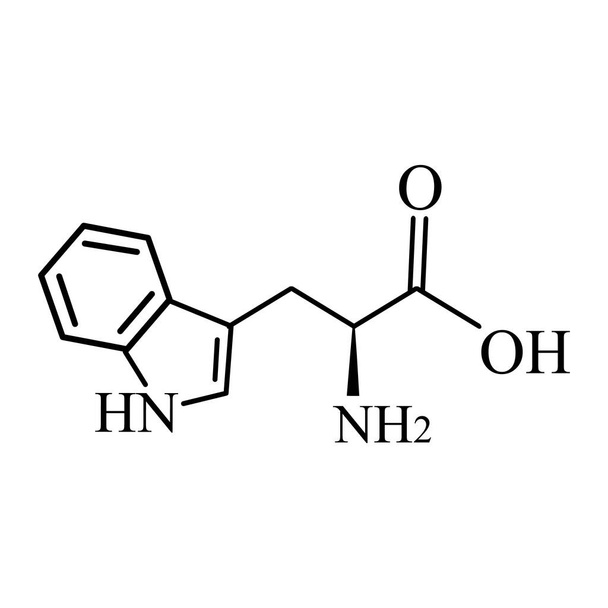 Триптофановая аминокислота. Химическая молекулярная формула триптофановой аминокислоты. Векторная иллюстрация на изолированном фоне - Вектор,изображение