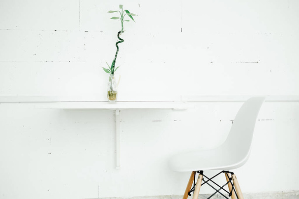 A branch of bamboo on the table, minimalism concept interior in white style - Foto, Imagen