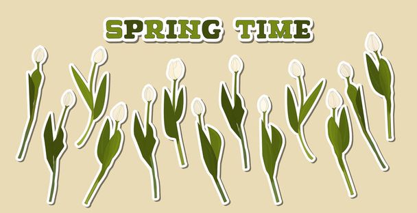 Vektorově zelený text s nápisem Jarní čas. Sada oddělených bílých obrysových tulipánů na béžovém pozadí. Prvky mají bílý obrys jako efekt papírových samolepek - Vektor, obrázek