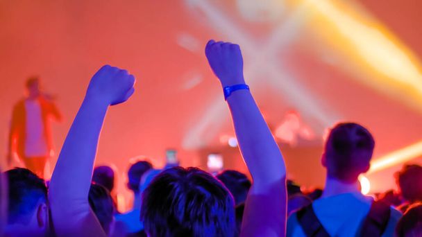 Ragazzo adolescente che festeggia al concerto rock di fronte al palco del nightclub - vista posteriore - Foto, immagini