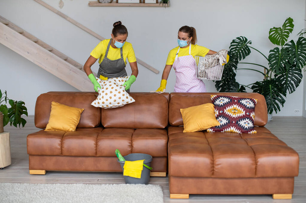 Servizio di pulizia professionale. Due pulitori in uniforme puliscono il divano. Pulizia di mobili nel salotto prima di vacanze invernali - Foto, immagini
