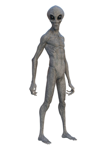 Alien gris de pie. Representación 3D aislada en blanco. - Foto, imagen