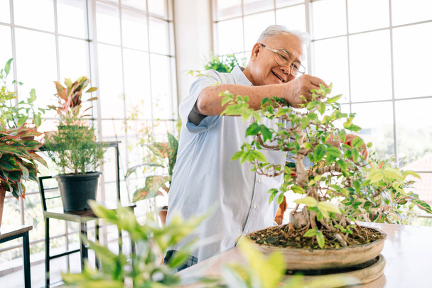 Asyalı emekli büyükbaba evdeki kapalı bir bahçedeki çiçeklere gülümseyerek ve mutlu bir şekilde bakmayı sever. Emeklilik aktiviteleri. - Fotoğraf, Görsel