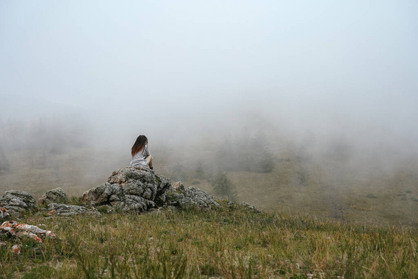 Bozkırda bir kayanın üzerinde oturur ve sise bakar. - Fotoğraf, Görsel