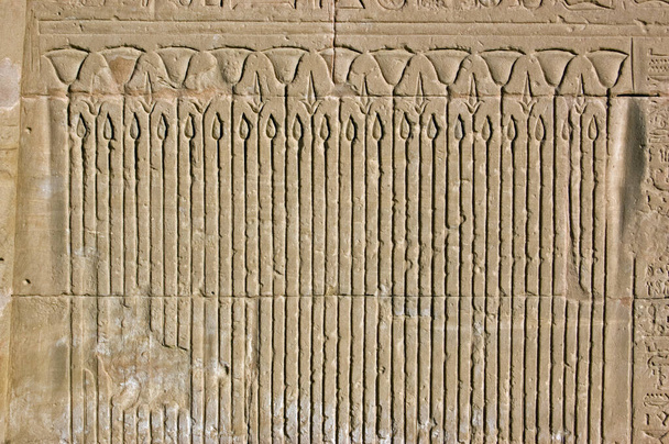 Ancienne sculpture hiéroglyphique égyptienne d'un lit de roseaux de lotus en fleur. Mur extérieur du temple d'Horus, Edfou, Egypte. - Photo, image
