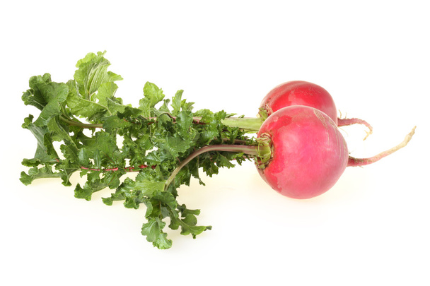 Fresh radishes - Photo, Image