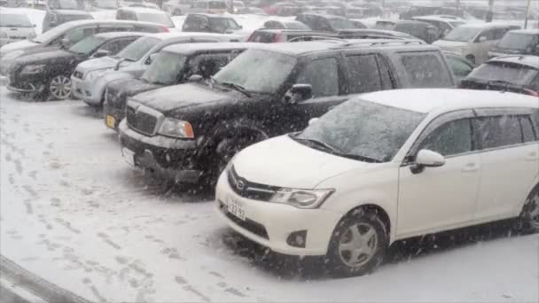 padající sníh v parkovišti na Japonsko - Záběry, video