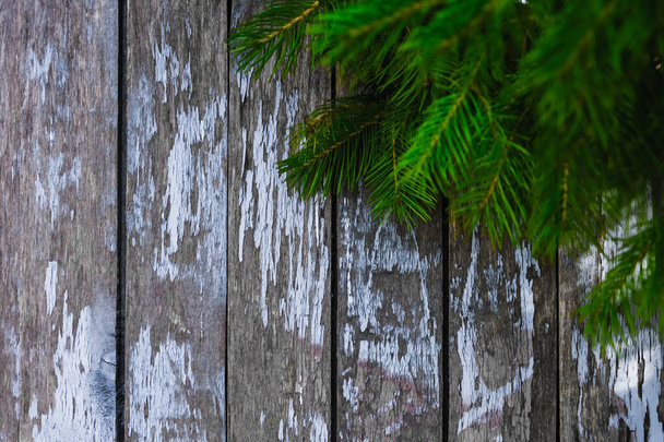 Ветка елки на фоне потрепанных старых досок - Фото, изображение
