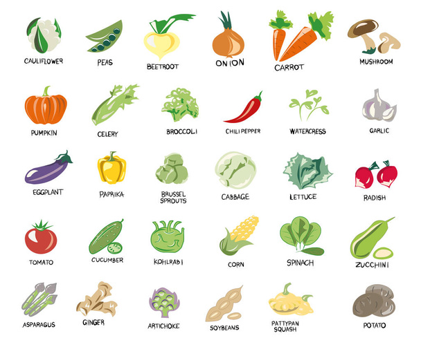 Lettuce, cabbage, broccoli, herbs, sprouts. Vegetables, mushrooms, roots and fruits. Vegan, vegetarian set of icons with vegetables. Natural colors. Vegetables, mushrooms, grass and roots. Proper nutrition. Vegetable food. Vector isolated image. - Vecteur, image