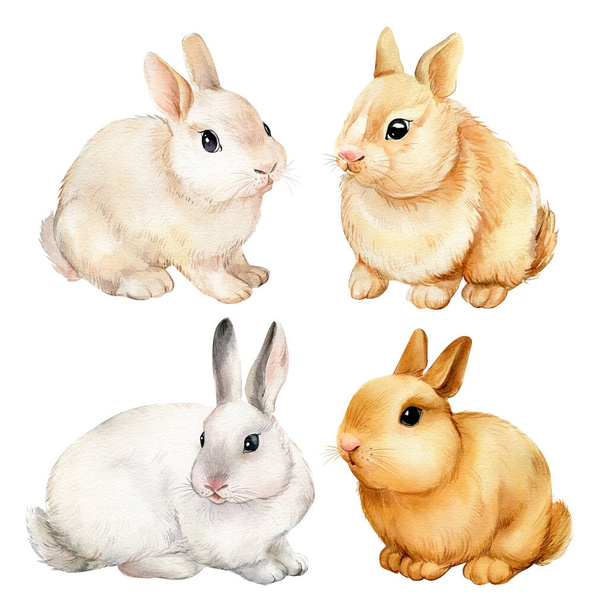  Sada roztomilých zajíčků malované v akvarelu, krásný králík. - Fotografie, Obrázek