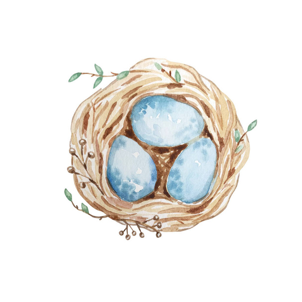 手描きの水彩鳥の巣卵、イースターデザイン。レトロなスタイル。水彩で描かれた白い線画です。天然棒法. - ベクター画像