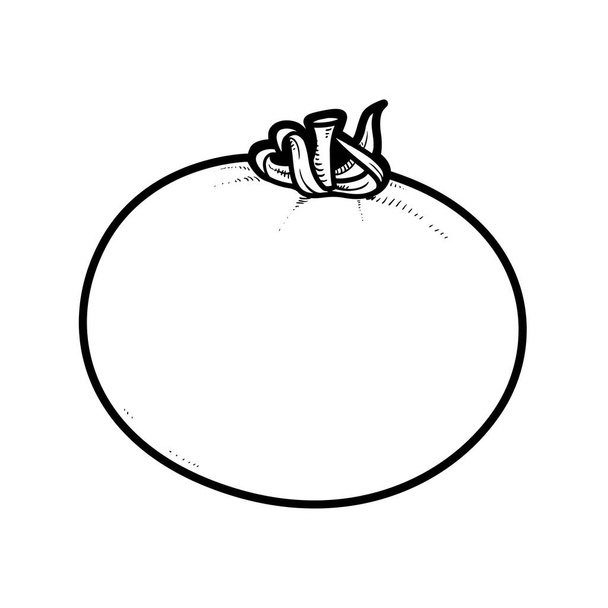 Big juicy tomato linear drawing on white background - Vector, Image