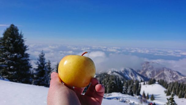 Το κίτρινο μήλο στο χέρι και τα βουνά - Φωτογραφία, εικόνα
