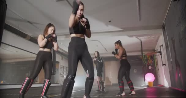 четыре девушки тренировки бокса в тренажерном зале - Кадры, видео