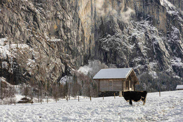 Лаутербруннен - село в районі Інтерлакен Оберхаслі в кантоні Берн у Швейцарії. Долина Лаутербруннен в зимовий час.. - Фото, зображення