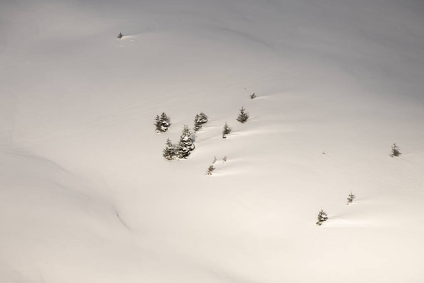 Freeride in fresh powder snow in alps. Swiss alps in  Switzerland Jungfrauregion. - Photo, Image