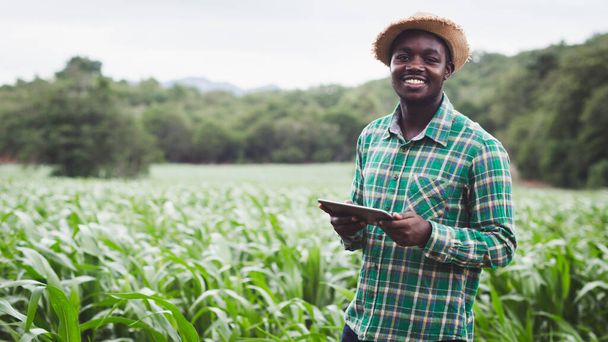 Granjero africano de pie en la granja verde con la celebración de tablet.16: 9 estilo - Foto, Imagen