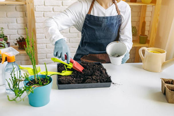 Female gardener caring for her plants indoors - Valokuva, kuva