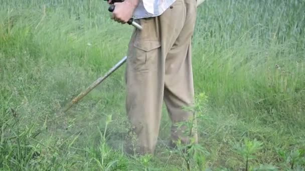 パノラマ草を刈る男 - 映像、動画