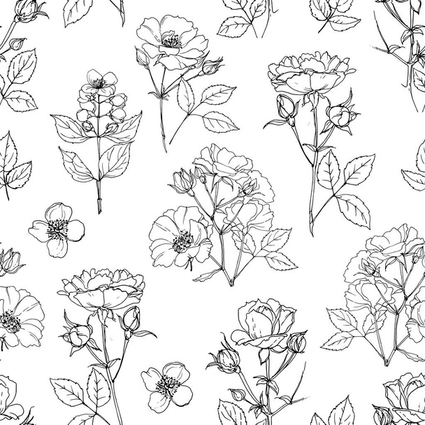 Pattern Flowers vektori linja piirustus. Prikaatilla Pensas ruusut ja ruusunmarjat - Vektori, kuva