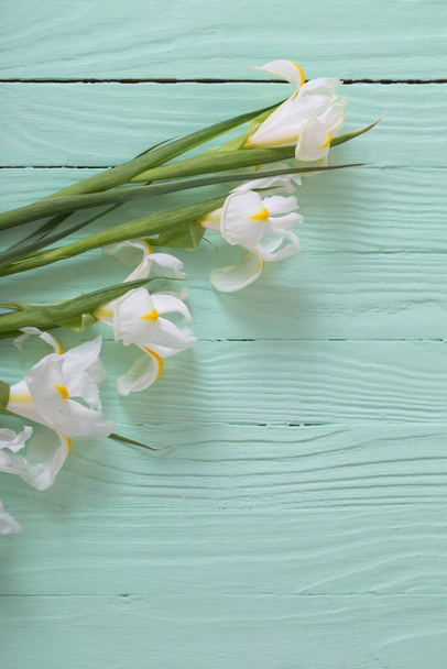 white iris on green wooden background - Fotó, kép