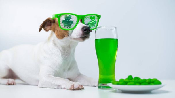 Dog with a mug of green beer and glazed nuts in funny glasses on a white background. Jack russell terrier celebrates st patricks day - Photo, Image