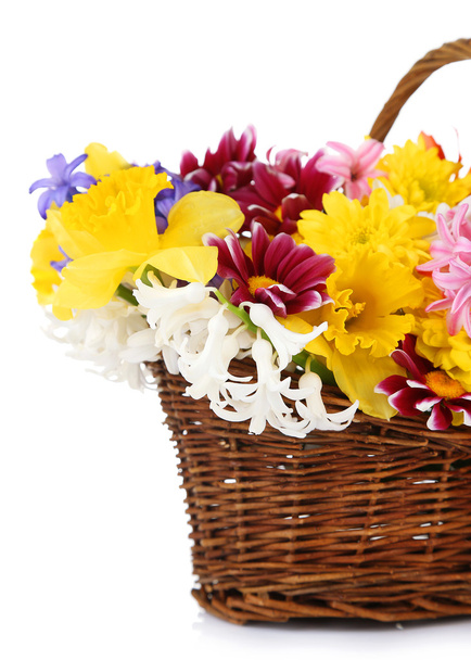 Beautiful flowers in wicker basket, isolated on white - Foto, Bild