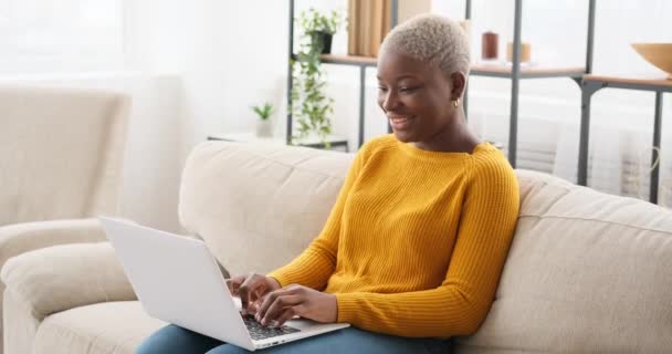 nő használ laptop kanapén otthon - Felvétel, videó