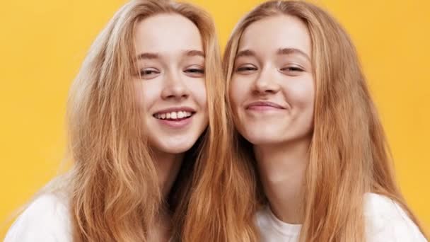 Juventud y felicidad. Primer plano retrato de dos hermanas gemelas pelirroja alegre riendo a la cámara, fondo naranja - Metraje, vídeo