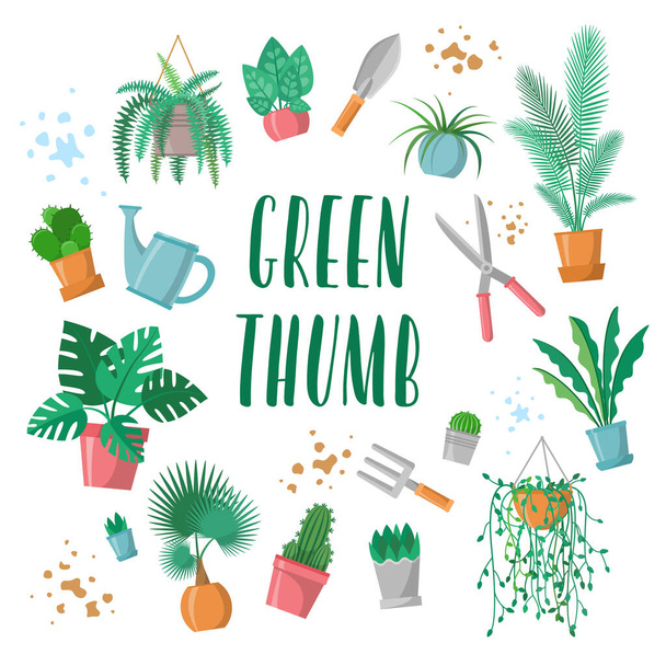 Green thumb lettering with garden tools set, home plants in pots collection, phrase for plants and gardening lover. Flowerpots, scissors, fork, trowel, watering pot, palm, cactus, fern. Flat vector  - Vector, Image