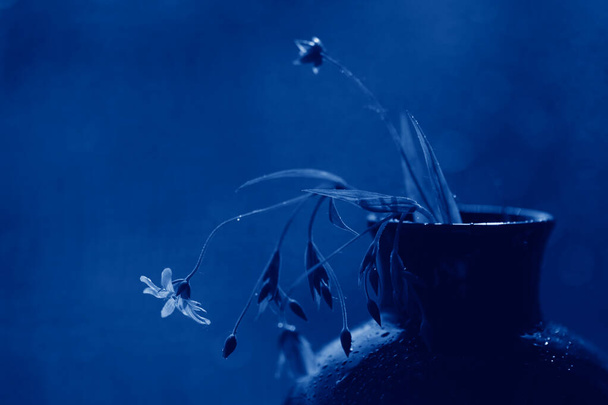 Βάζο με λουλούδια χρωματισμένο σε κλασικό μπλε - Φωτογραφία, εικόνα