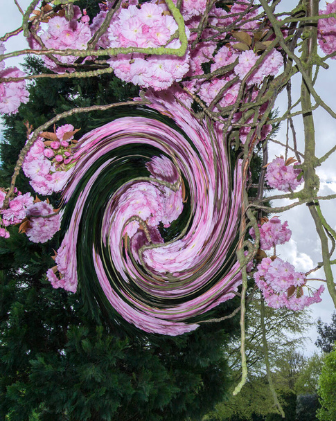 Цифровая иллюстрация Весенние цветы фон - Фото, изображение