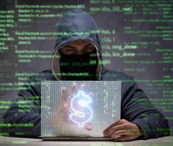 Hacker stealing dollars from bank - Photo, Image