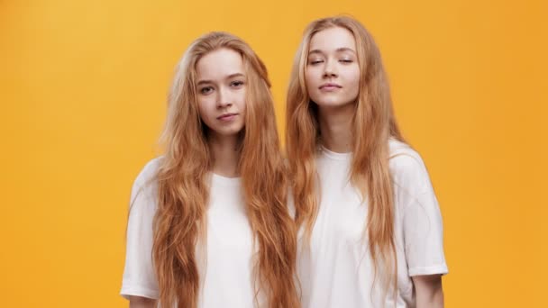 Gruß. Zwei junge freundliche rothaarige Zwillingsschwestern winken freundlich in die Kamera und kleben auf orangefarbenem Studiohintergrund - Filmmaterial, Video