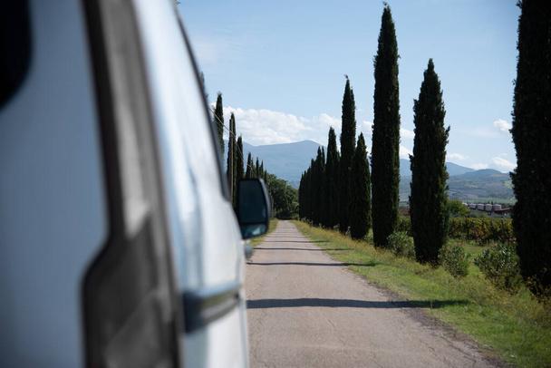 Vanlife - live in a beautiful bus in the open nature surrounded by cypresses - Photo, Image