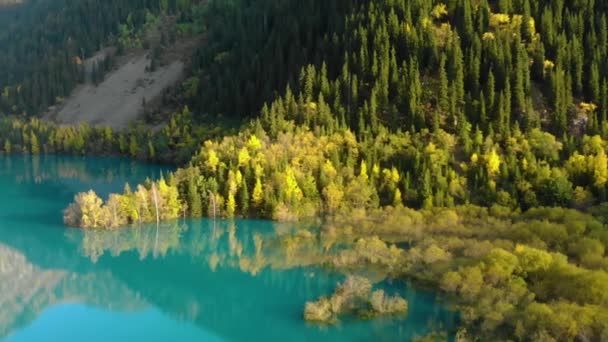 Μια ζεστή φθινοπωρινή μέρα σε μια λίμνη στο βουνό. Τυρκουάζ νερά και χρυσά κίτρινα δέντρα. Λίμνη Ίσικ. Η περιοχή της Άλμα-Άτα. Καζακστάν - Πλάνα, βίντεο