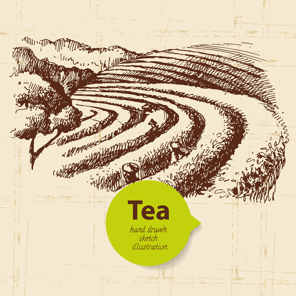 té vintage fondo
 - Vector, imagen