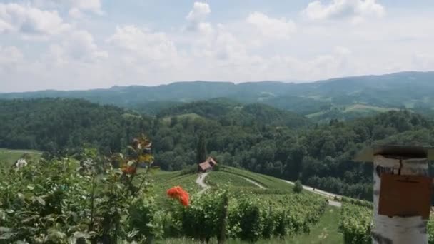 Heart-shaped road in Slovenia. A nice place to celebrate Valentine's Day. - Footage, Video