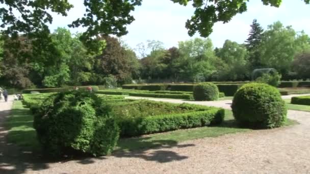 Schöner Park in Berlin mit Büschen, Bäumen und Blumen. Spaziergänger ruhen sich auf Bank und Rasen aus - Filmmaterial, Video