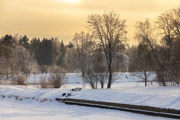 Iltaa talvipuistossa. Pavlovsk, Pietarin lähistöllä. Venäjä - Valokuva, kuva